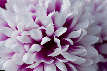 Scotland Uk, France and Spain, a collection