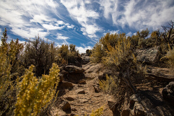 Nature Trail at Royal Gorge in Taos NM