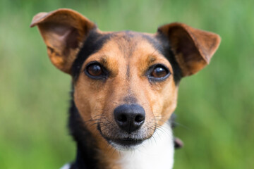 Scotland UK, France and Spain a collection