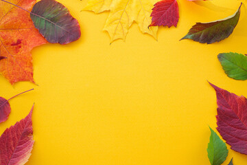Fototapeta na wymiar Autumn colorful leaves on a yellow background, with place for text