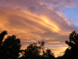 Sunrise over Trees