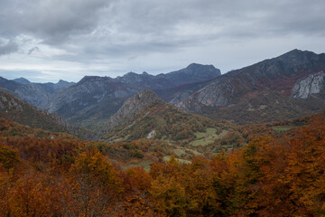 Autumn near Oseja de Sajambre