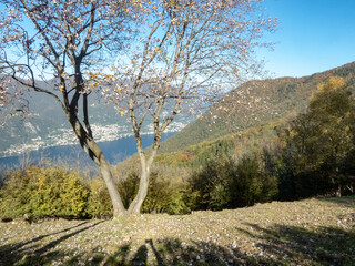 autumn landscape from the heights of Como lake