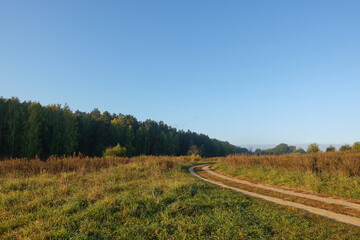 A narrow dirt road runs near the forest. Autumn sunny day.