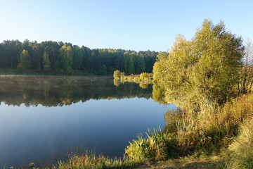 Fototapeta na wymiar Beautiful landscape of autumn forest with a mountain lake.