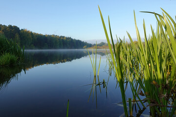 Lake with a smooth surface and reeds reflected in the water