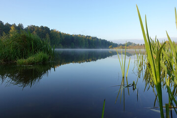 Lake with a smooth surface and reeds reflected in the water