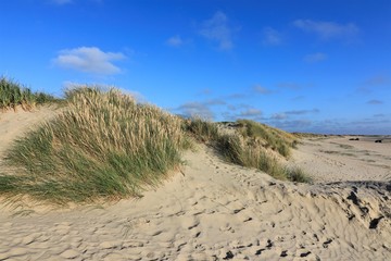 sand dune with beach grass, holiday by the sea 