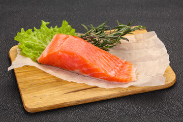 Piece of raw salmon