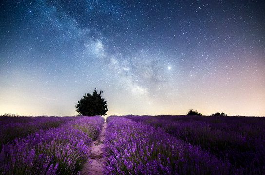 Lavanda and Milky Way in Langhe, Sale San Giovanni, Piedmont, Italy