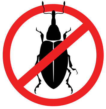 anti  weevil symbol vector illustration