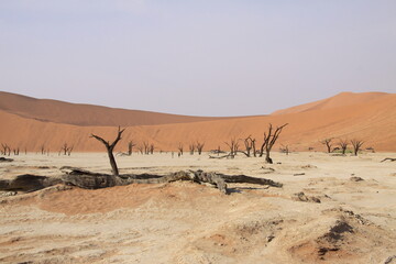Sossusvlei Namibia desert