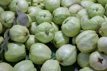 Fresh green guava