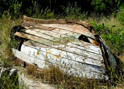 Derelict overturned wooden rowing boat hull. Weather beaten, with broken & holed planking. Paint peeling with visible graining.  Overturned in overgrown raised garden. Lopud, Dalmatia, Croatia, Europe