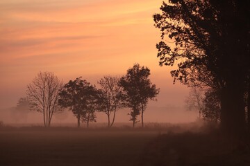 Rural landscape on an autumn morning