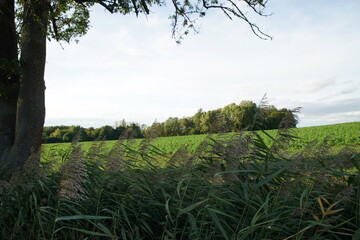 Fototapeta premium Landschaft Ochsenfurter Gau Nähe Gnodstadt