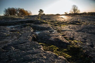 Sweden stone landscape stark moss rocks