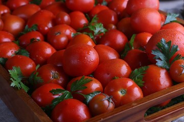 Shiny red tomatoes in tray