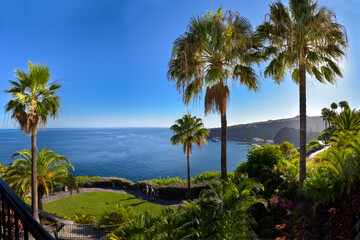 Fototapeta na wymiar Landschaft mit Palmen auf der Insel La Gomera / Kanaren
