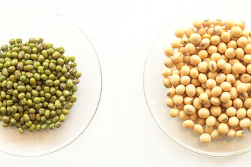 variety of bean with healthy concept