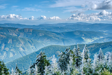 Frost on trees in the mountains with beautiful clouds