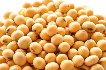 soybean with healthy concept
