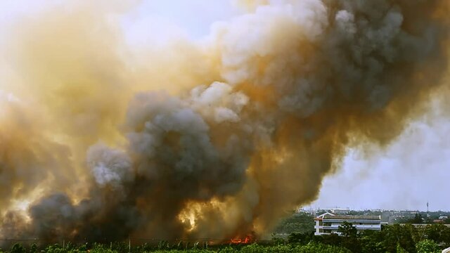 Thick plumes of dark smoke rise from the forest in a city that is on fire and burning due to deforestation. Dark yellow, black, and gray smoke billows into the sky.