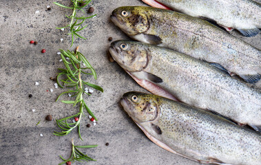 Rainbow trouts on a stone board with herbs