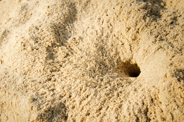Sand beach background