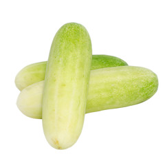 Green fresh cucumber