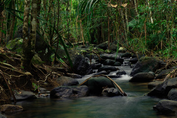 stream Flowing through a rock covered with moss in rainforest of Koh yao yai,Phang Nga,Thailand