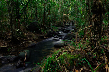Naklejka na ściany i meble Beautiful mountain stream flow through abundant forests in rainforest of Koh yao yai,Phang Nga,Thailand