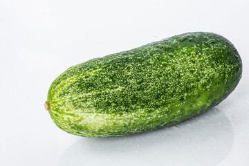 Single cucumber on a white background with reflection