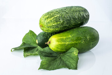 Composition of cucumber and leaves  on a white background with reflection