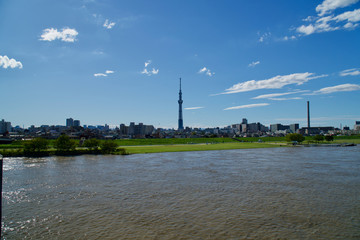 Fototapeta na wymiar 平井大橋から見た風景