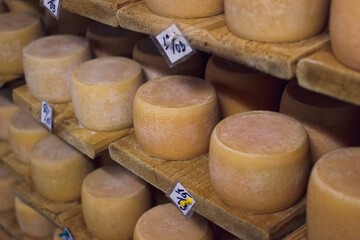 Semihard cheese aging in cellar. Dairy food production storage on factory. Cow's milk cheese on shelves.