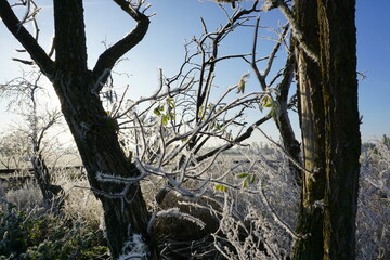 sonnenaufgang im drömling naturpark deutschland
