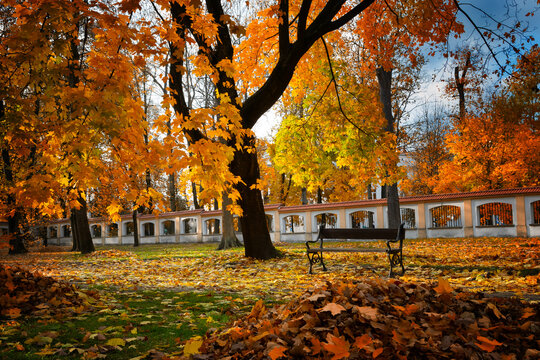 Romantic autumn park in Bialystok. Podlasie, Poland.