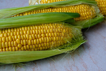 An ear of corn lies on a table. Ripe fresh corn with leaves.