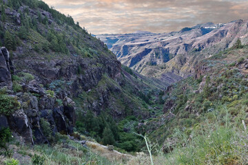 Schlucht in schöner Berglandschaft bewachsen mit Büschen und Bäumen