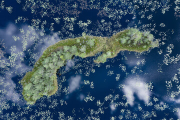 Island in the bog, golden marsh, lakes and nature environment. Sundown evening light in spring