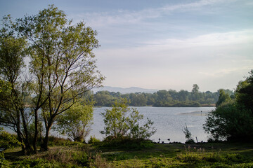 landscape with lake and trees