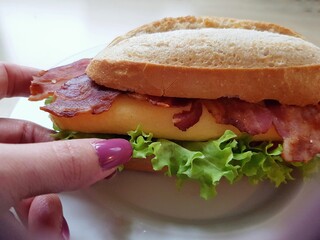 Human hand with sandwich with egg and salad