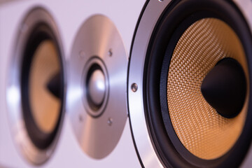 High end speakers for audiophile listeners