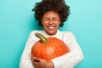 Isolated shot of overemotive joyous woman with curly Afro hair, picks up big pumpkin in autumn garden, prepares for Halloween, wears warm sweater, isolated on blue. Fall season. Organic food