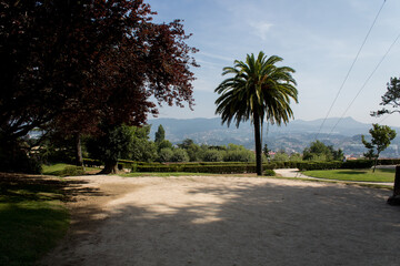 Fototapeta premium Paisaje con palmeras