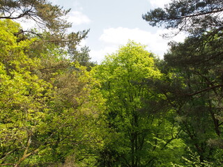 Landschaften – Fischbach bei Dahn – Ortsgemeinde in Rheinland-Pfalz