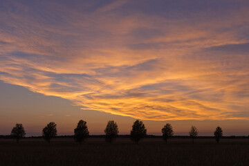 Fototapeta na wymiar Sunset at Nature Reserve in Schulzendorf, Brandenburg, Germany