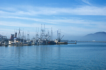 Naklejka premium SAN FRANCISCO, CALIFORNIA, UNITED STATES - NOV 26th, 2018: Fishing Boats Docked San Francisco Pier 39 with Golden Gate Bridge in the background