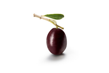 Sprig with an olive on a white background